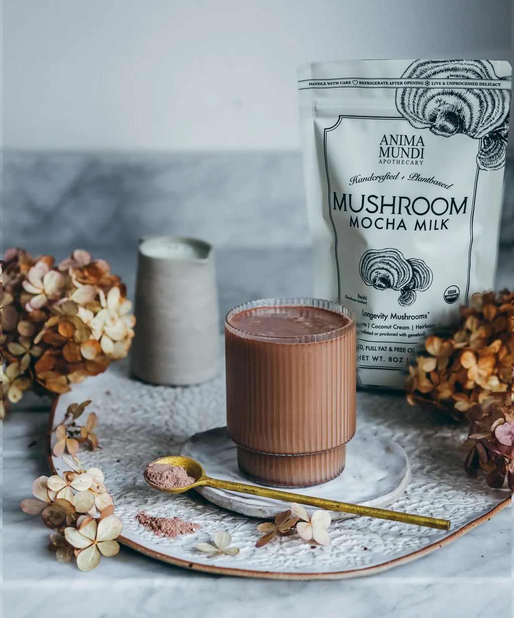 MUSHROOM MOCHA MILK | Longevity Milk