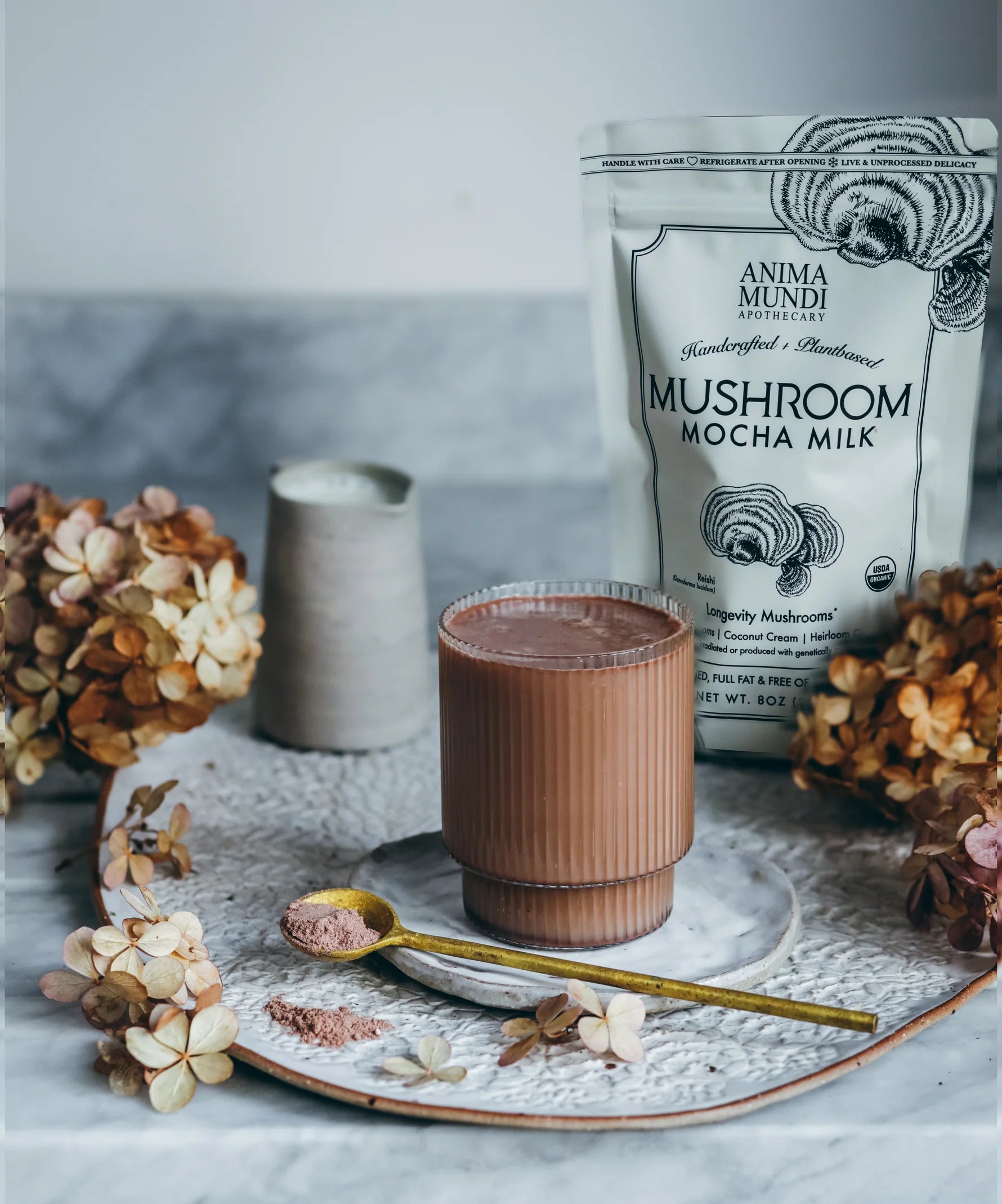 MUSHROOM MOCHA MILK | Longevity Milk