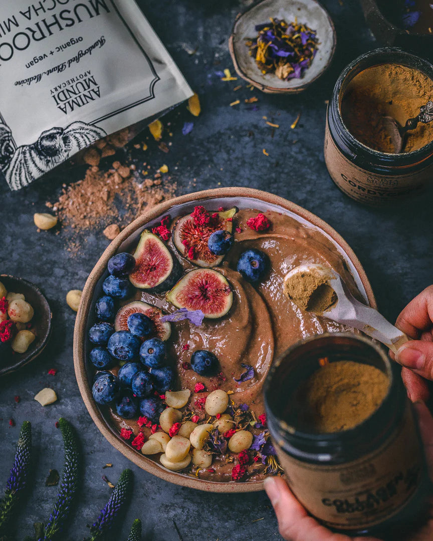 MUSHROOM MOCHA MILK | Longevity Milk